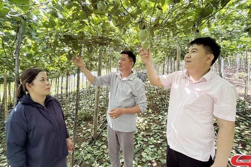 Nguồn vốn ưu đãi tiếp sức cho kinh tế tập thể