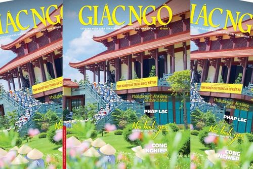 Báo Giác Ngộ số 1356: Nơi bình yên giữa nhịp sống hối hả