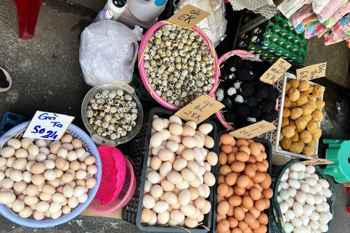 Trứng gà rớt giá, người nuôi lỗ nặng, bán lẻ giảm nhỏ giọt