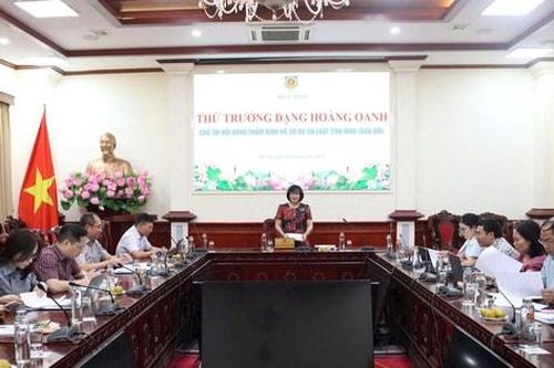 Đề nghị nghiêm cấm sử dụng mạng xã hội để môi giới cho, nhận con nuôi trái pháp luật