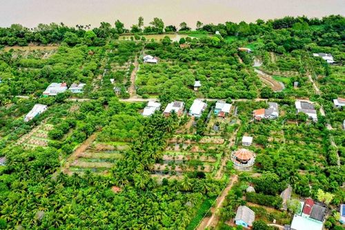 Về cồn Mỹ Phước dự Ngày hội Sông nước miệt vườn