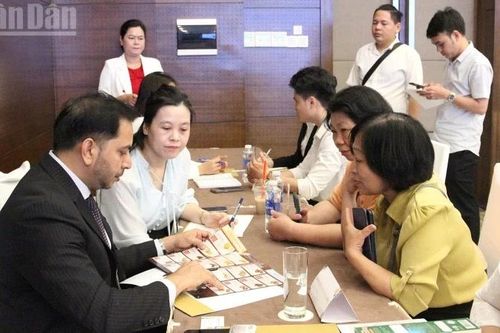 Đà Nẵng: Tăng cơ hội mở rộng thị trường xuất khẩu với Halal