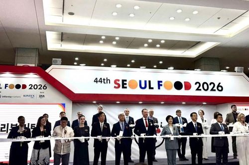 Đại sứ Vũ Hồ dự Khai mạc Seoul Food 2026, thăm các gian hàng Việt Nam