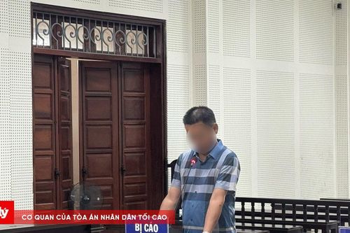 Xét xử vụ hủy hoại hơn 10ha rừng tự nhiên ở Quảng Ninh