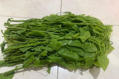 Loại rau có tên xấu xí là đặc sản chứa nhiều chất bổ dưỡng