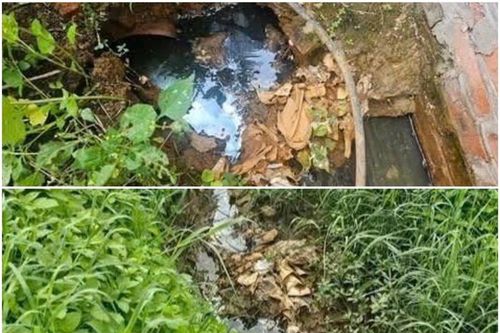 Xử phạt hai cơ sở xả nước thải vượt quy chuẩn tại Hải Phòng