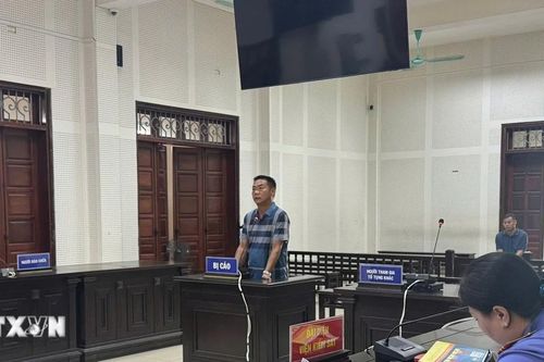 Quảng Ninh: Lĩnh án 4 năm tù vì hủy hoại hơn 10ha rừng tự nhiên