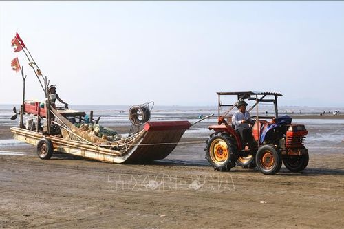 Hành trình đưa nước mắm quê hương trở thành OCOP 3 sao