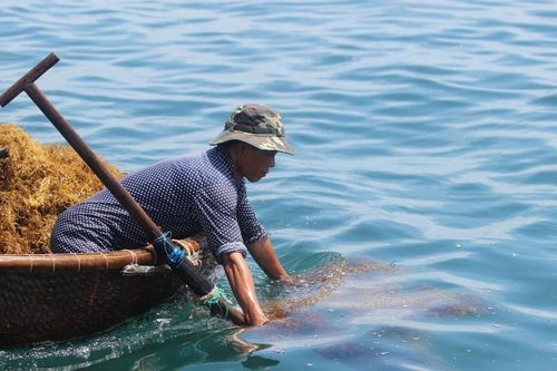 Bảo vệ hệ sinh thái gắn với sinh kế bền vững