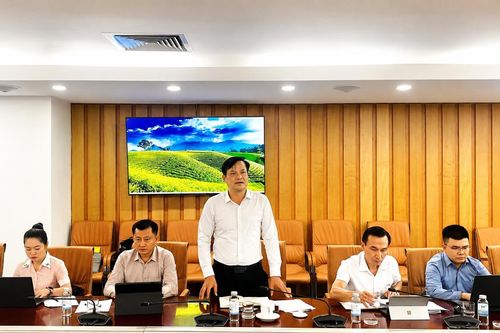Điện Biên đề xuất hỗ trợ xây dựng vùng nguyên liệu cà phê, cao su đáp ứng quy định chống mất rừng của Liên minh châu Âu