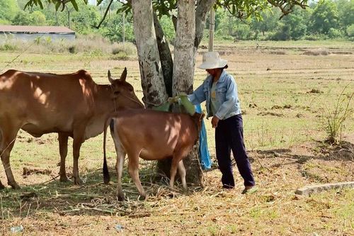 Trao sinh kế, gieo niềm tin thoát nghèo