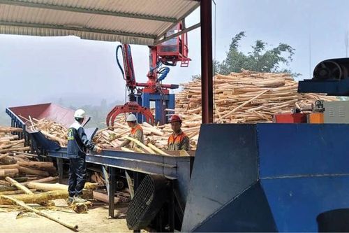 Đa dạng sinh kế để giảm nghèo bền vững