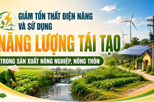 Giảm tổn thất điện năng và sử dụng năng lượng tái tạo trong sản xuất nông nghiệp, nông thôn