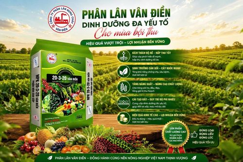 Đầu tư phân bón đúng cách, gia tăng giá trị mùa vụ