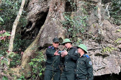 Tuyên Quang: Ban Quản lý rừng đặc dụng Nà Hang bảo vệ và phát triển rừng bền vững