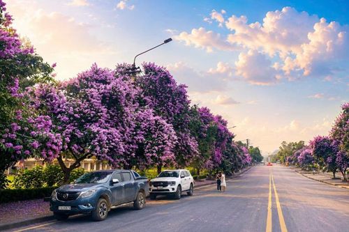 Sắc hoa mùa hạ tô điểm du lịch miền non nước