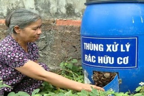 Môi trường xanh sinh học - Nền tảng của hệ sinh thái cân bằng