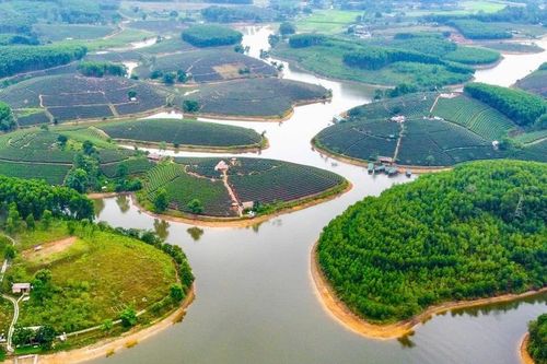 'Khai tử' dự án du lịch hơn 1.500 tỷ của Cienco4 tại Đảo Chè