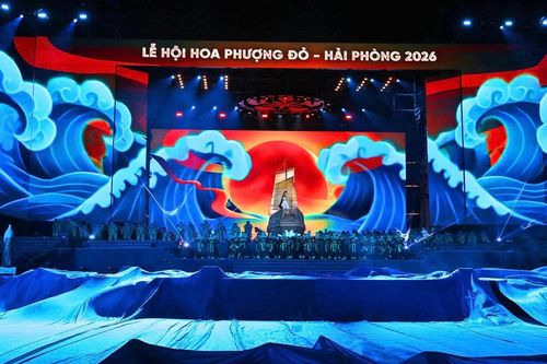 Hải Phòng hướng tới đưa Lễ hội Hoa Phượng Đỏ thành thương hiệu quốc gia