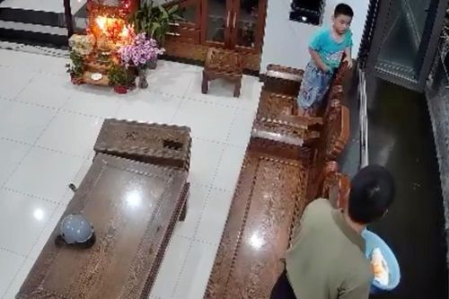 Mới nghỉ hè, cậu bé khiến bố mất đàn cá Koi tiền triệu