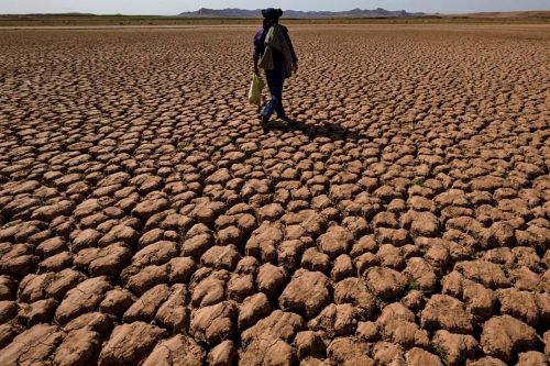 Đại dương đang trở thành 'lời giải' cho bài toán hạn hán ở Morocco