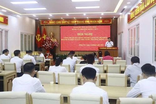 Thành lập Đảng bộ khối doanh nghiệp ngoài nhà nước phường Móng Cái 1