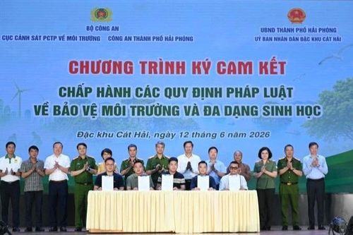 Bảo vệ môi trường trách nhiệm chung của toàn xã hội