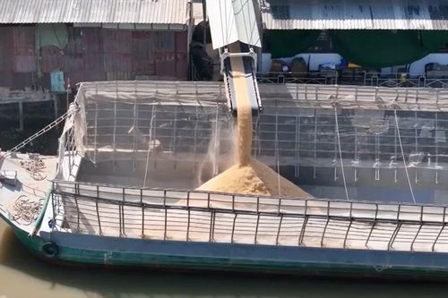 Cần Thơ xử phạt hai doanh nghiệp xay xát gạo gây ô nhiễm môi trường