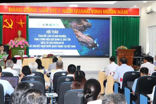 Tăng hiệu quả quản lý, bảo tồn các khu Ramsar tại Việt Nam
