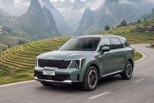 Cập nhật bảng giá xe hãng Kia mới nhất tháng 6/2026