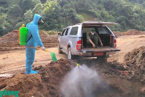Tiêu hủy gần 6 tạ thịt lợn không rõ nguồn gốc
