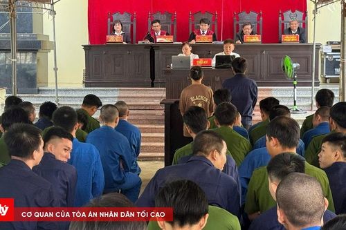 Tuyên án 53 bị cáo liên quan đến ma túy