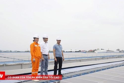 Từ những mái nhà xanh đến bảo đảm an ninh năng lượng