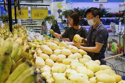 UOB: Kinh tế Việt Nam thể hiện sức chống chịu trước áp lực chi phí và bất ổn bên ngoài
