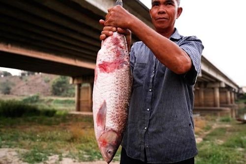 Đất hiếm, nội chiến Myanmar và cái giá phải trả của người dân hạ lưu sông Mekong