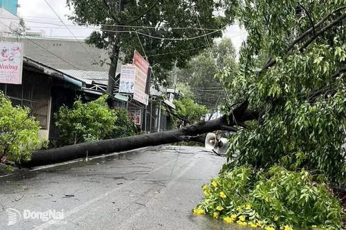 Cảnh báo nguy cơ sạt lở, lũ lụt và ngập nước trên địa bàn thành phố Đồng Nai trong mùa mưa bão