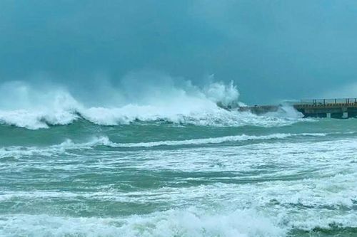 Lâm Đồng chủ động ứng phó vùng áp thấp trên biển