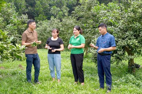 Dấu ấn cán bộ nữ ở cơ sở