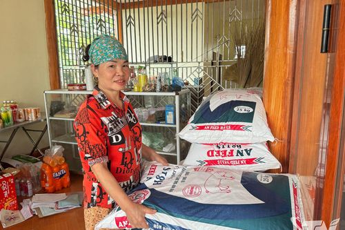 Thoát nghèo nhờ dám nghĩ, dám làm