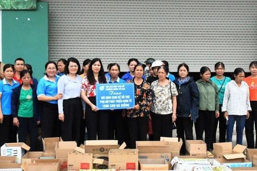 Hội Liên hiệp Phụ nữ phường Nùng Trí Cao ra mắt mô hình 'Hỗ trợ sinh kế gắn với quản lý số'