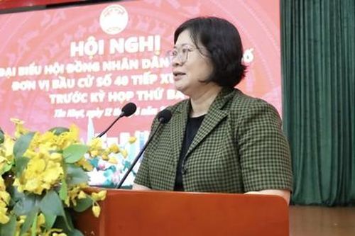 Cử tri kiến nghị nhanh chóng có phương án xử lý các dự án chậm trễ để bảo đảm quyền lợi người dân