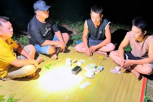 Khởi tố 8 đối tượng đánh bạc trên đồi quế