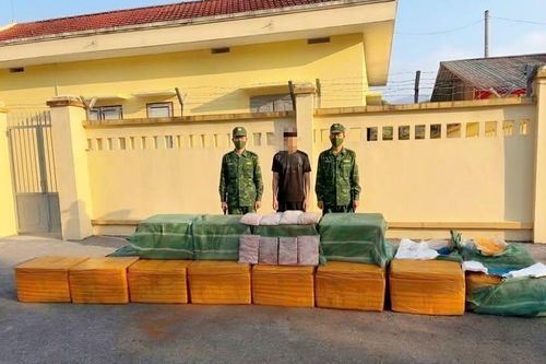 Ngụy trang gần nửa tấn tràng lợn đông lạnh trong bao dứa chuẩn bị 'vượt biên' vào đất liền