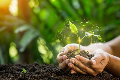 Chuyển đổi xanh của SMEs: Từ áp lực đến hợp lực cùng đối tác