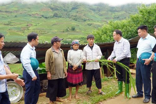 Đảng viên Tà Xi Láng tiên phong mở hướng thoát nghèo cho người dân vùng cao