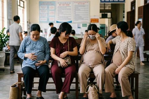 Triệt phá đường dây mang thai hộ