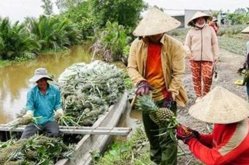 Đồng Tháp: Phấn đấu trước năm 2030 không còn hộ nghèo