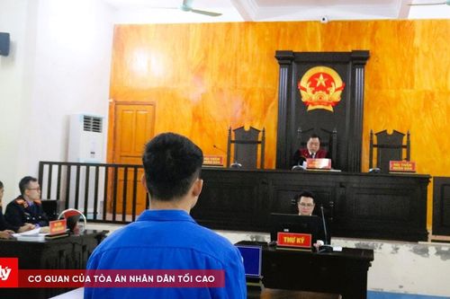 Mua bằng giả để 'chạy tội' tai nạn giao thông: Lưới trời khó lọt!