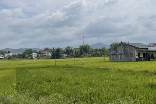 Thời tiết các khu vực trong tỉnh ngày 14/6 chiều tối có mưa rào và dông rải rác