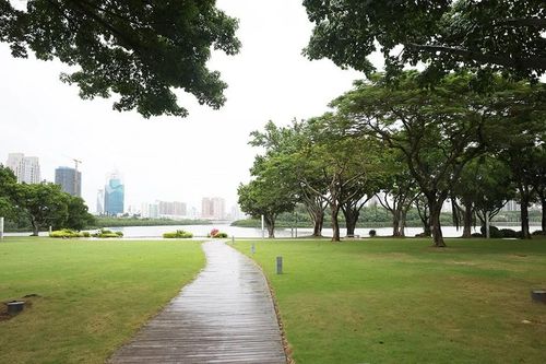 Hồ Vân Đang: Từ 'hồ nước chết' đến không gian sinh thái giữa lòng thành phố Hạ Môn